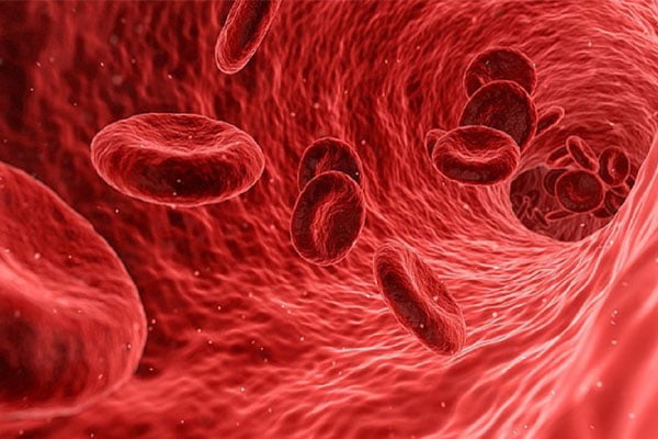دستورالعمل طب سنتی برای درمان "غلظت خون"